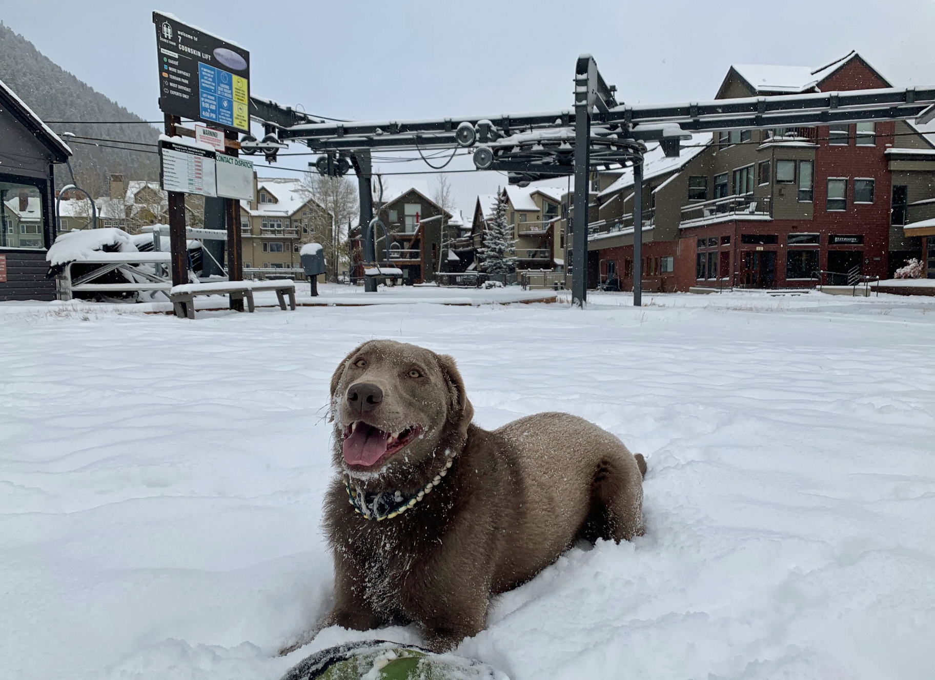 January Real Estate Numbers in Telluride header image.
