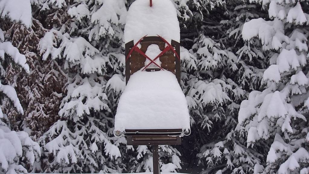 Its Snowing in Telluride header image.