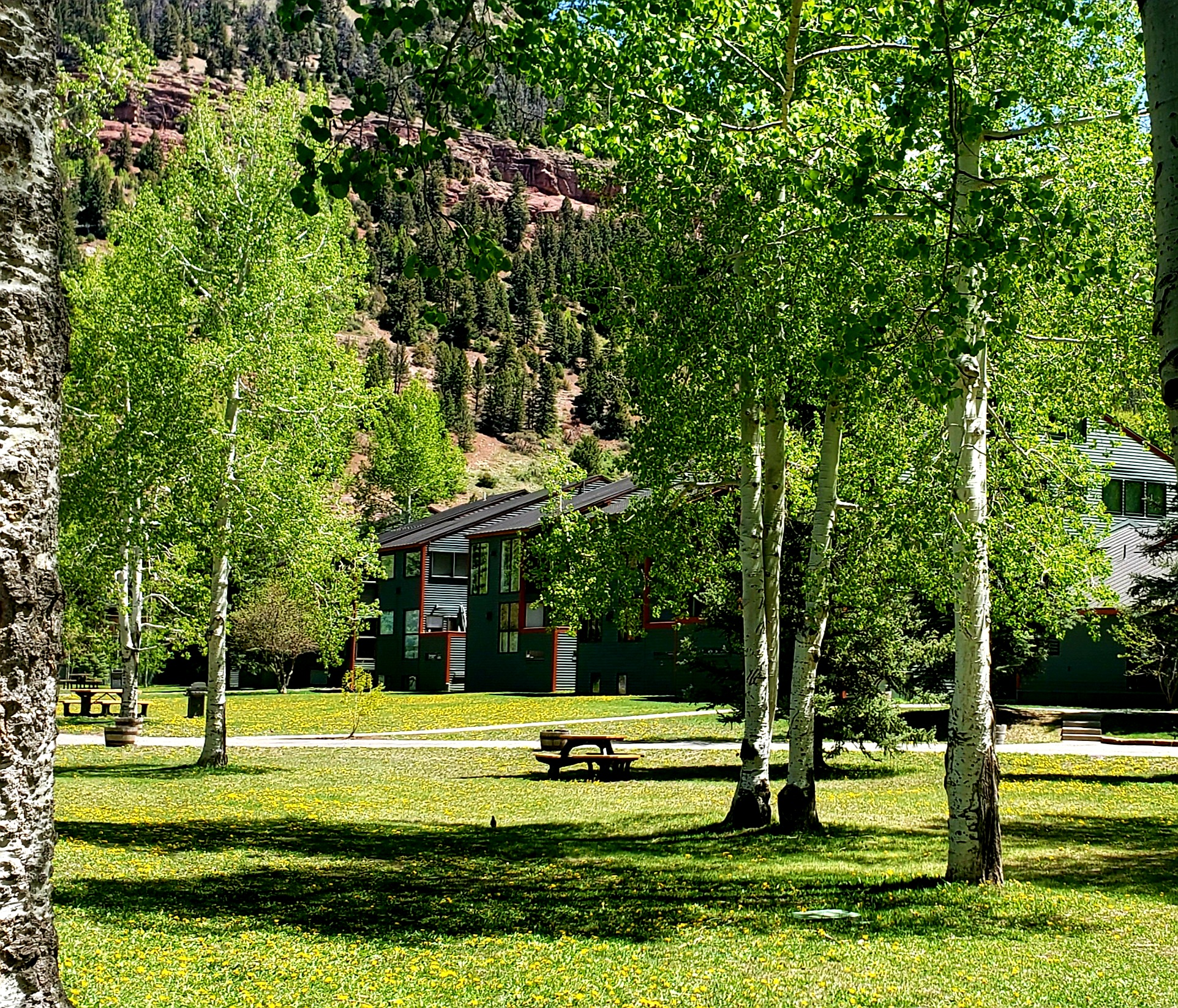 Teddy Sells Telluride Lodge 322 header image.