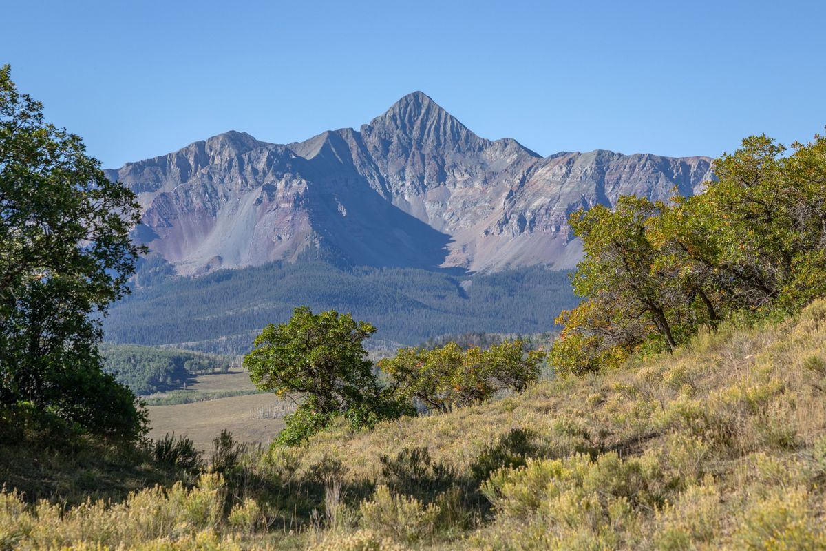 New Listing - Golden Ledge 6 header image.