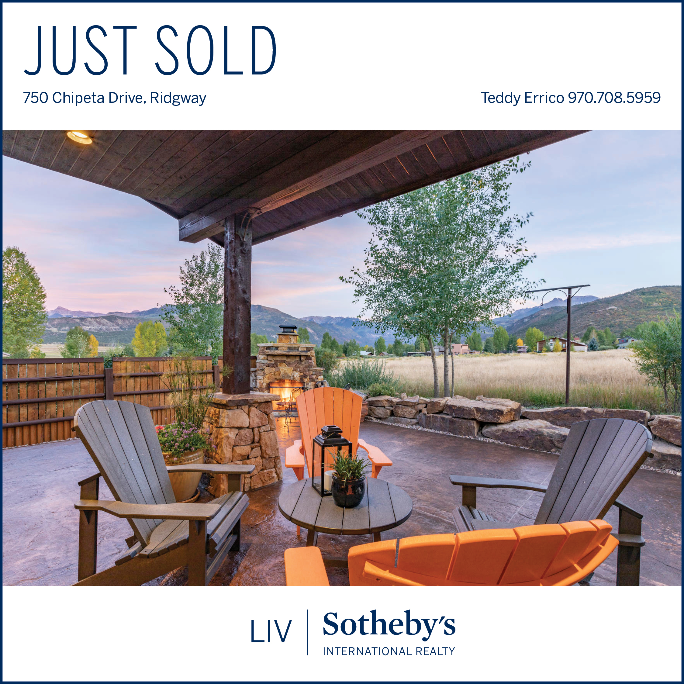 Teddy Sets Record with Ridgway Sale header image.