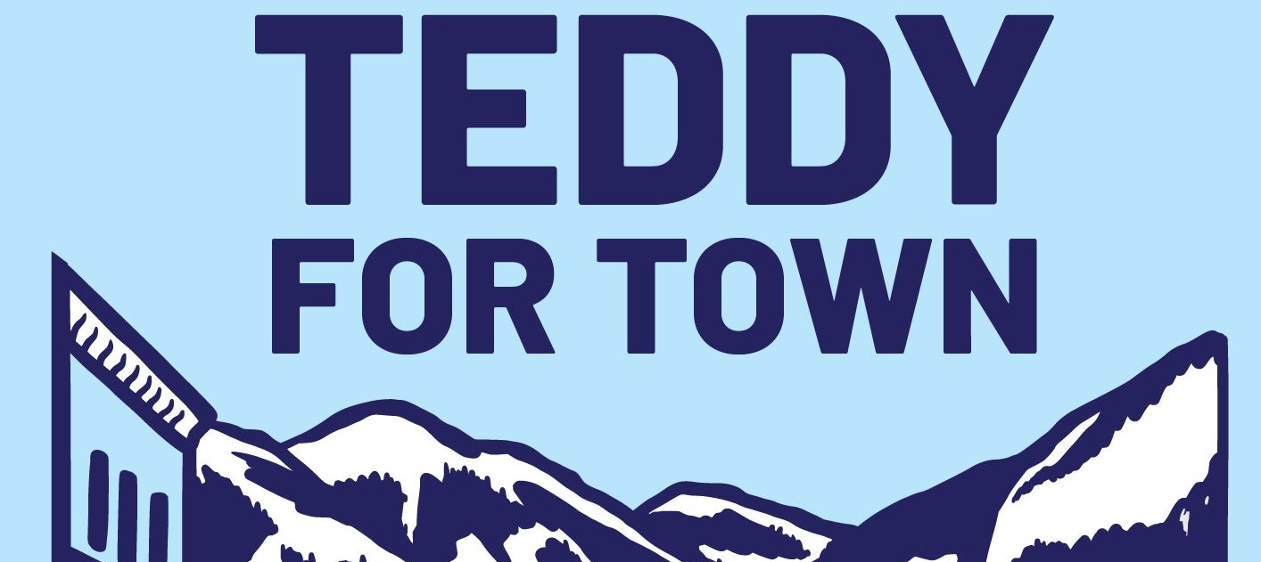 Teddy for Mayor??? header image.