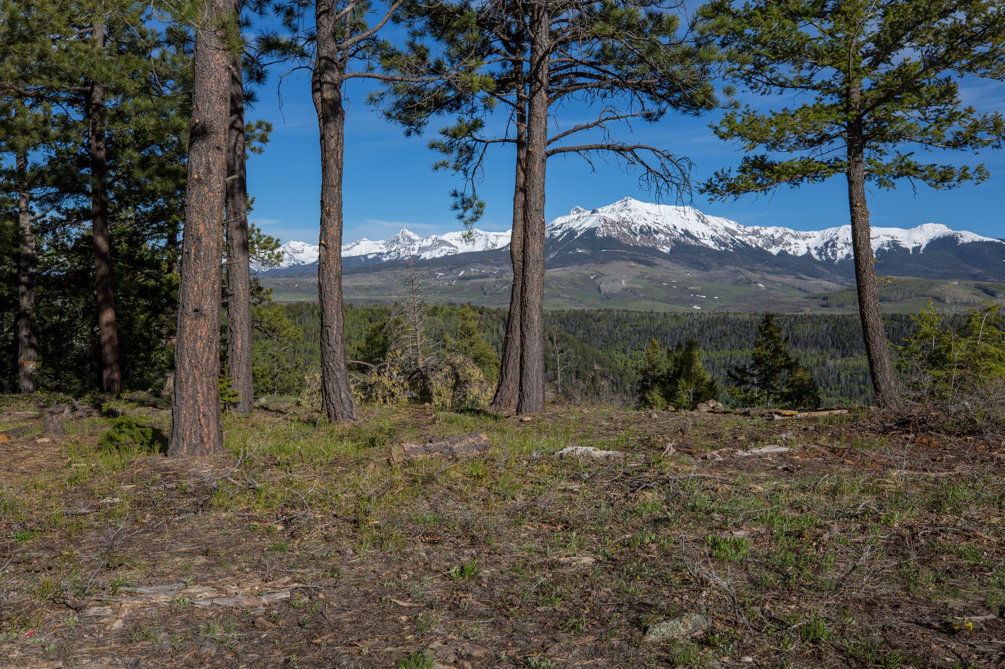 Lot 8 at Eagle Ridge is Sold header image.