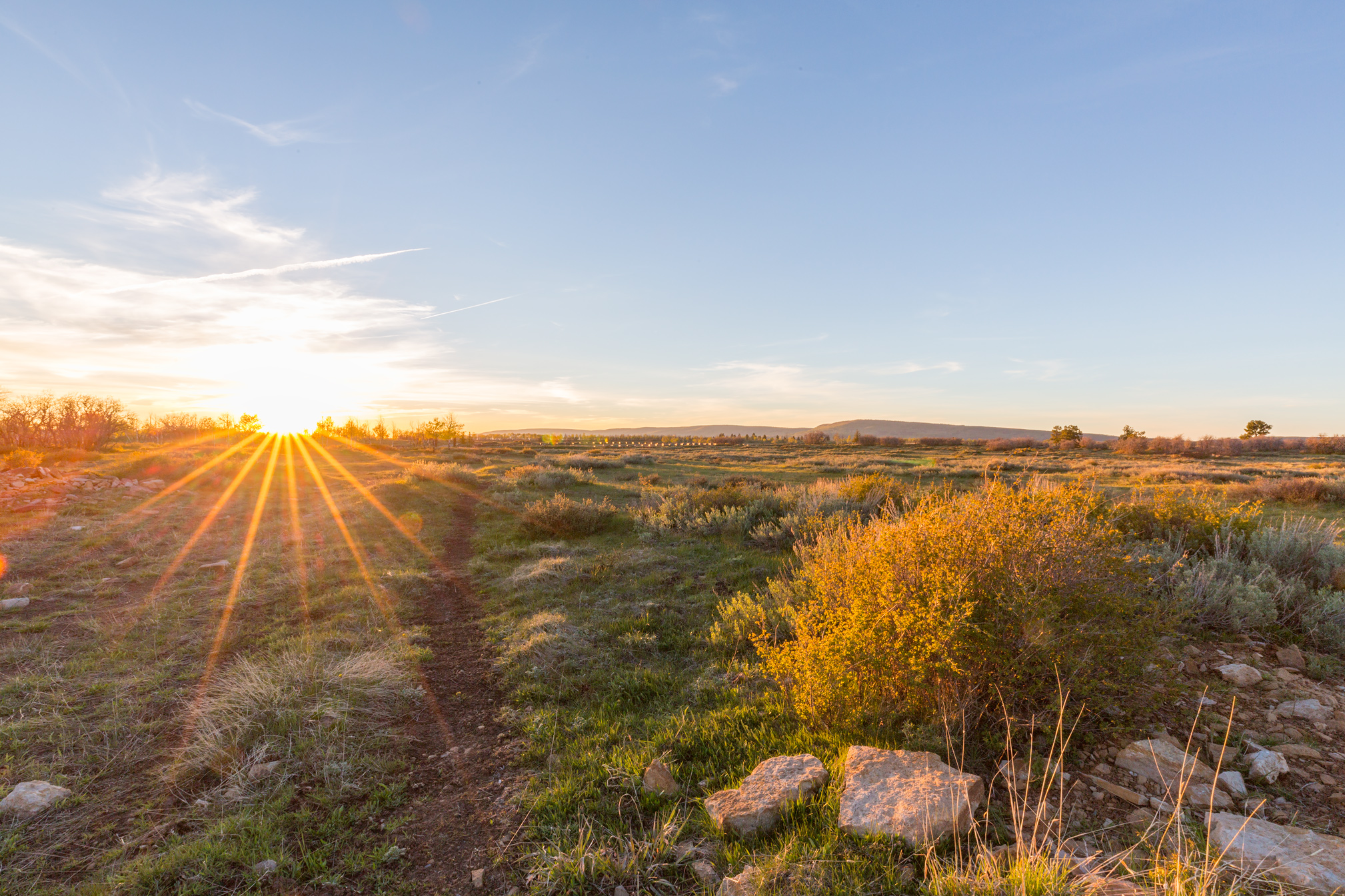 June 2020 Real Estate Sales are Out of Sight ! header image.