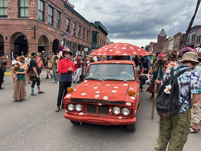 A Great Season for Mushrooms header image.