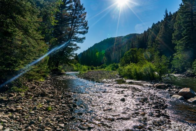 $117 Million in Sales for August 2023 header image.