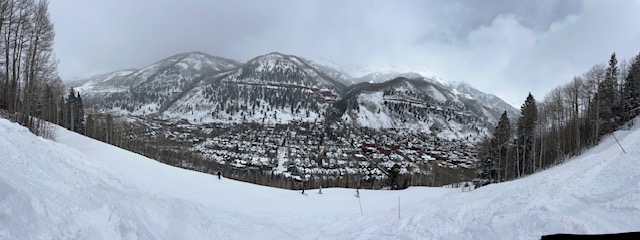 February 2025 Real Estate Sales header image.