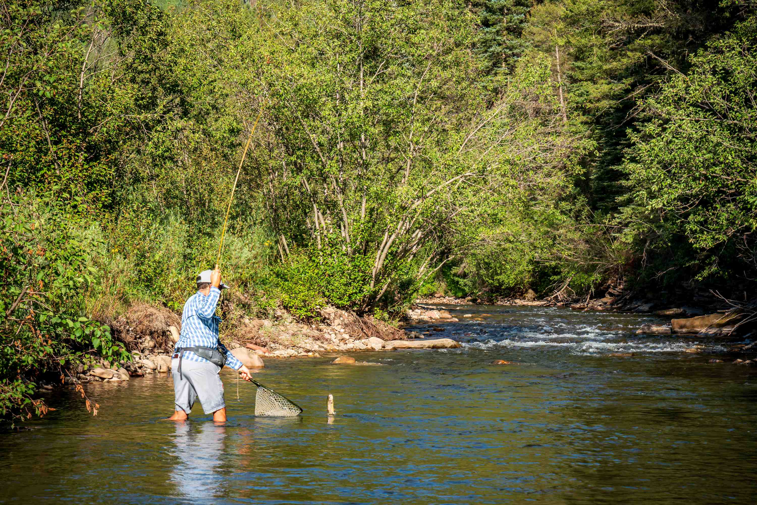 Price Reduced.  Slippery Rock River Ranch header image.