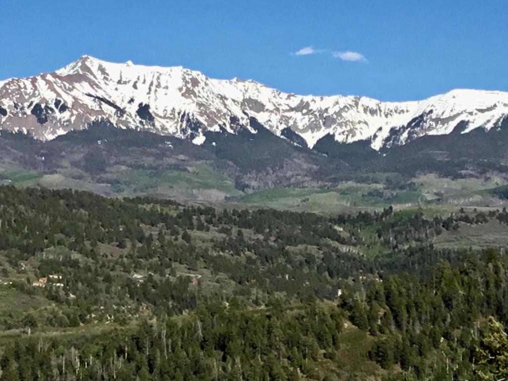 Teddy Contracts Lot 16 The Bluffs header image.