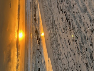 Opening Delayed Until December 6 header image.