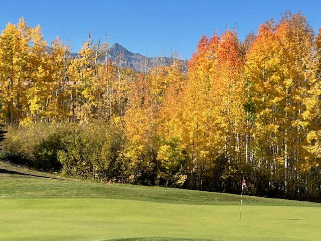 September 2024 Real Estate Sales Are Up header image.