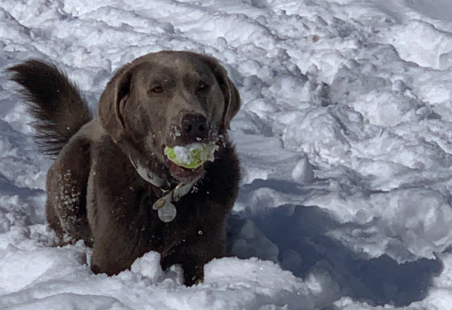 First Big Snow-Ski Season One Month Away header image.