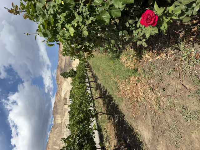 48 Hours in the Grand Valley and more! header image.
