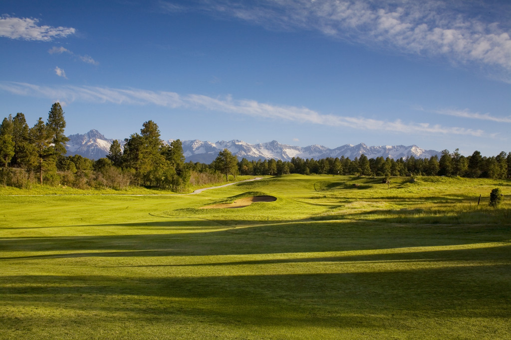 Over $1 Million Dollar Sale at Divide by Teddy header image.