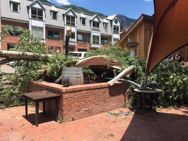 Another Tree Falls in Telluride header image.