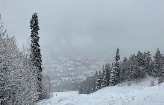 Free Refills header image.