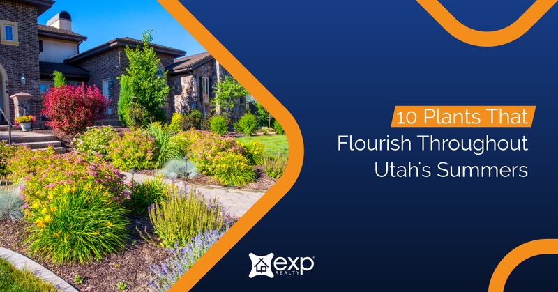 10 Plants That Flourish Throughout Utah's Summers header image.