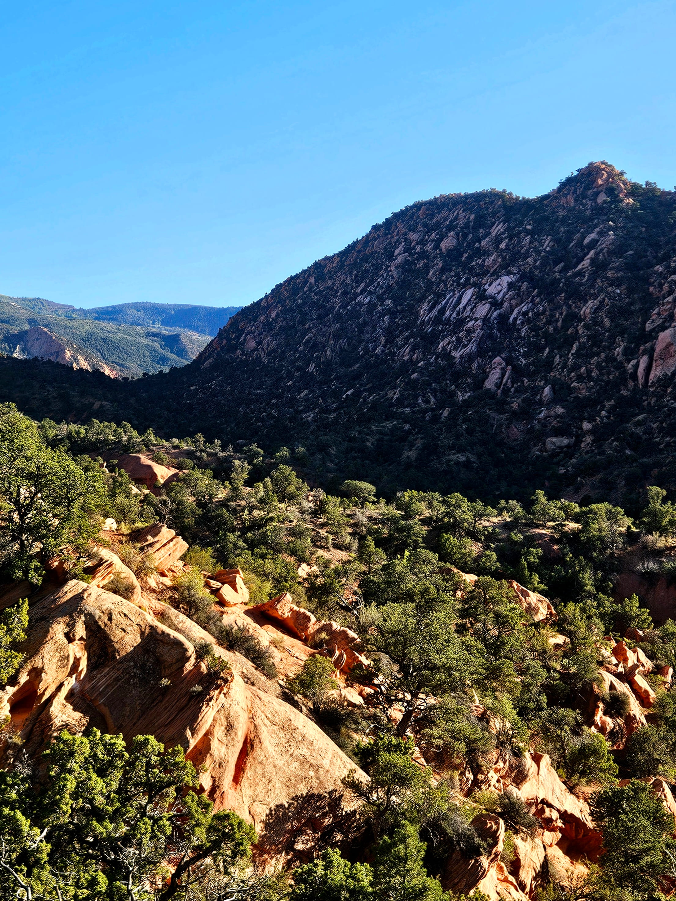 Rocky downhill section of Ghost Flats Trail loop near Cedar City Utah with loose terrain and desert vegetation
