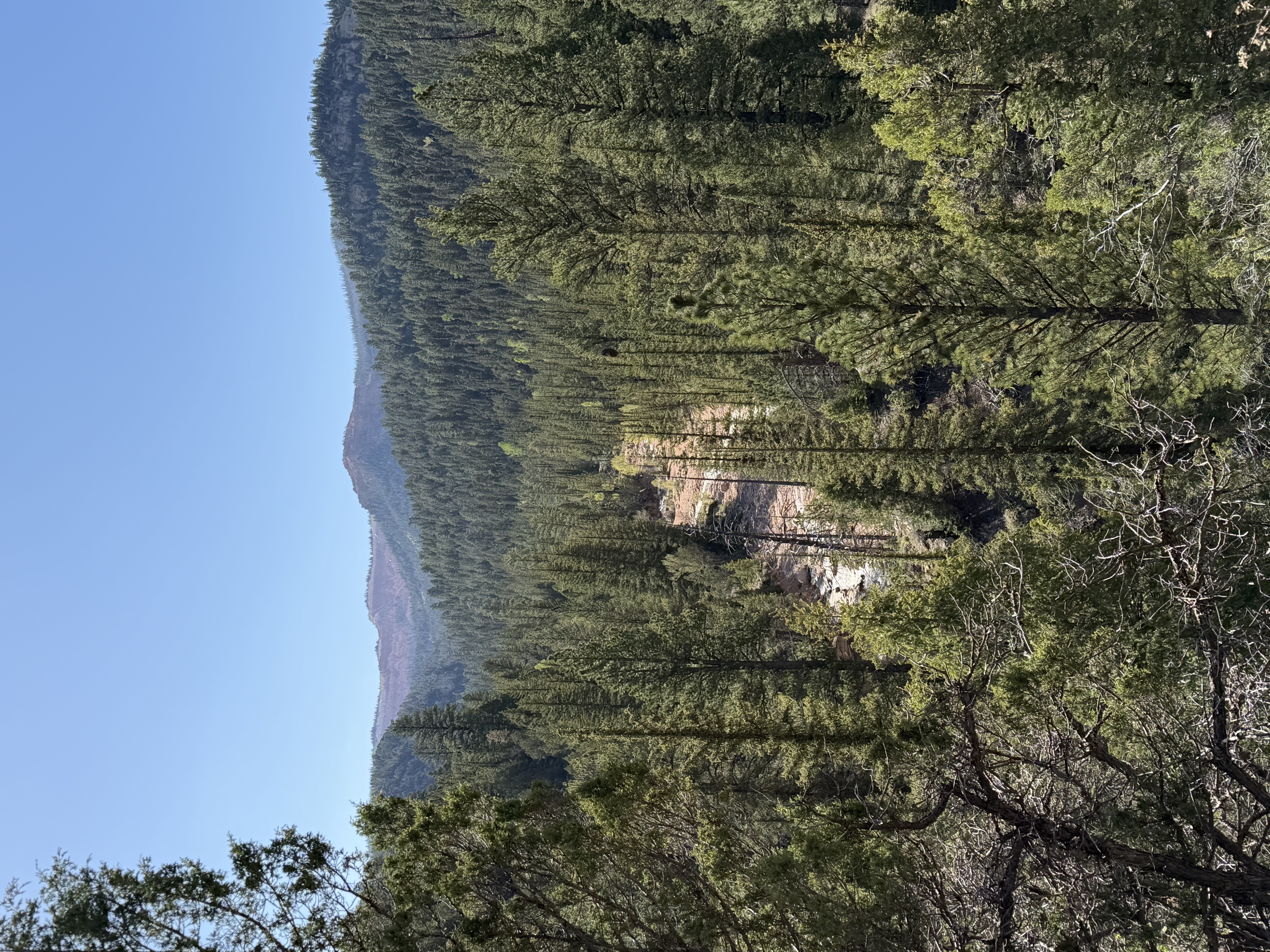 Wading through Ashdown Creek near Cedar City with clear running water and rocky canyon landscape