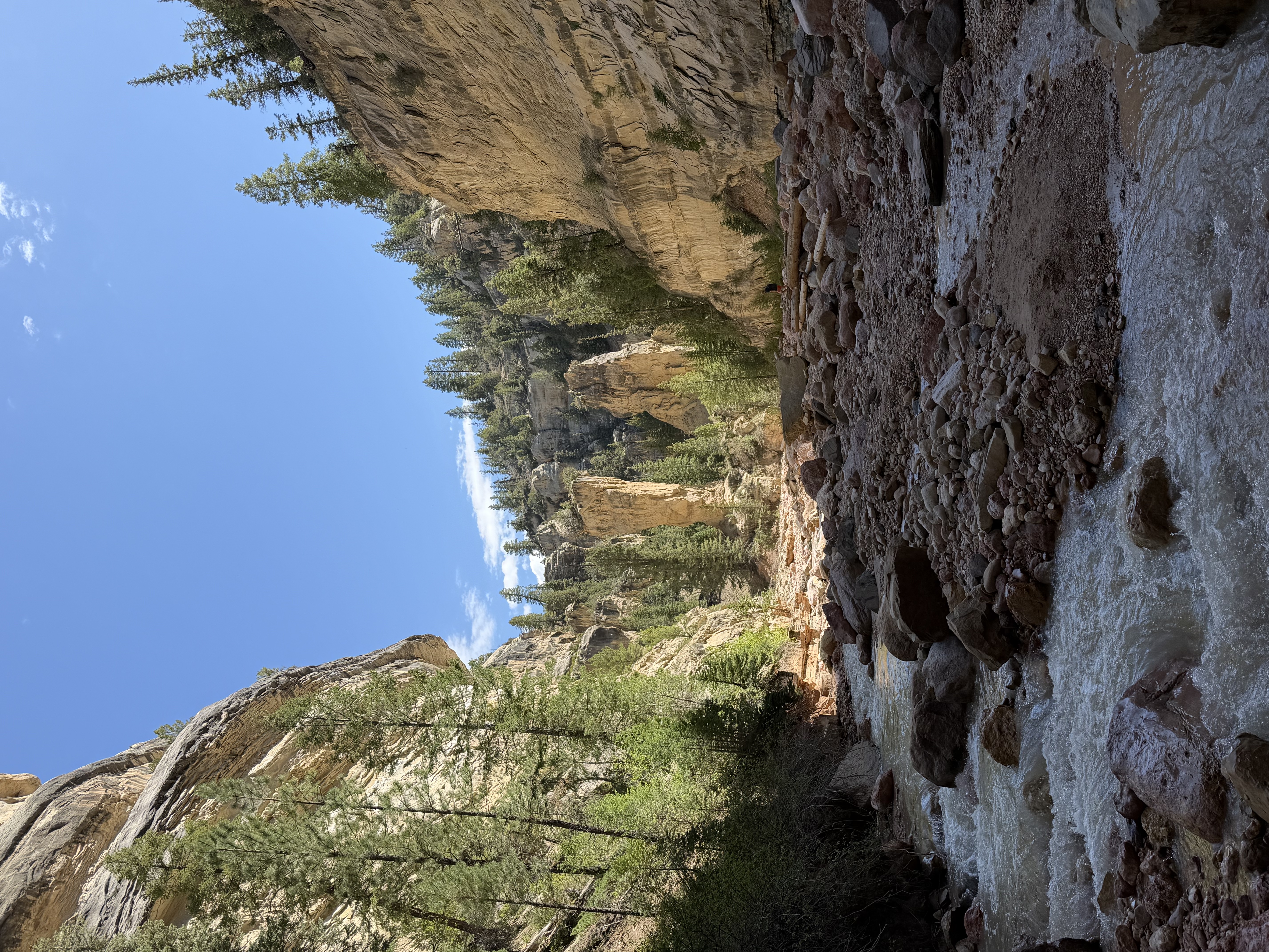 Ashdown Gorge Trailhead creek access surrounded by pine trees and canyon walls near Cedar City Utah