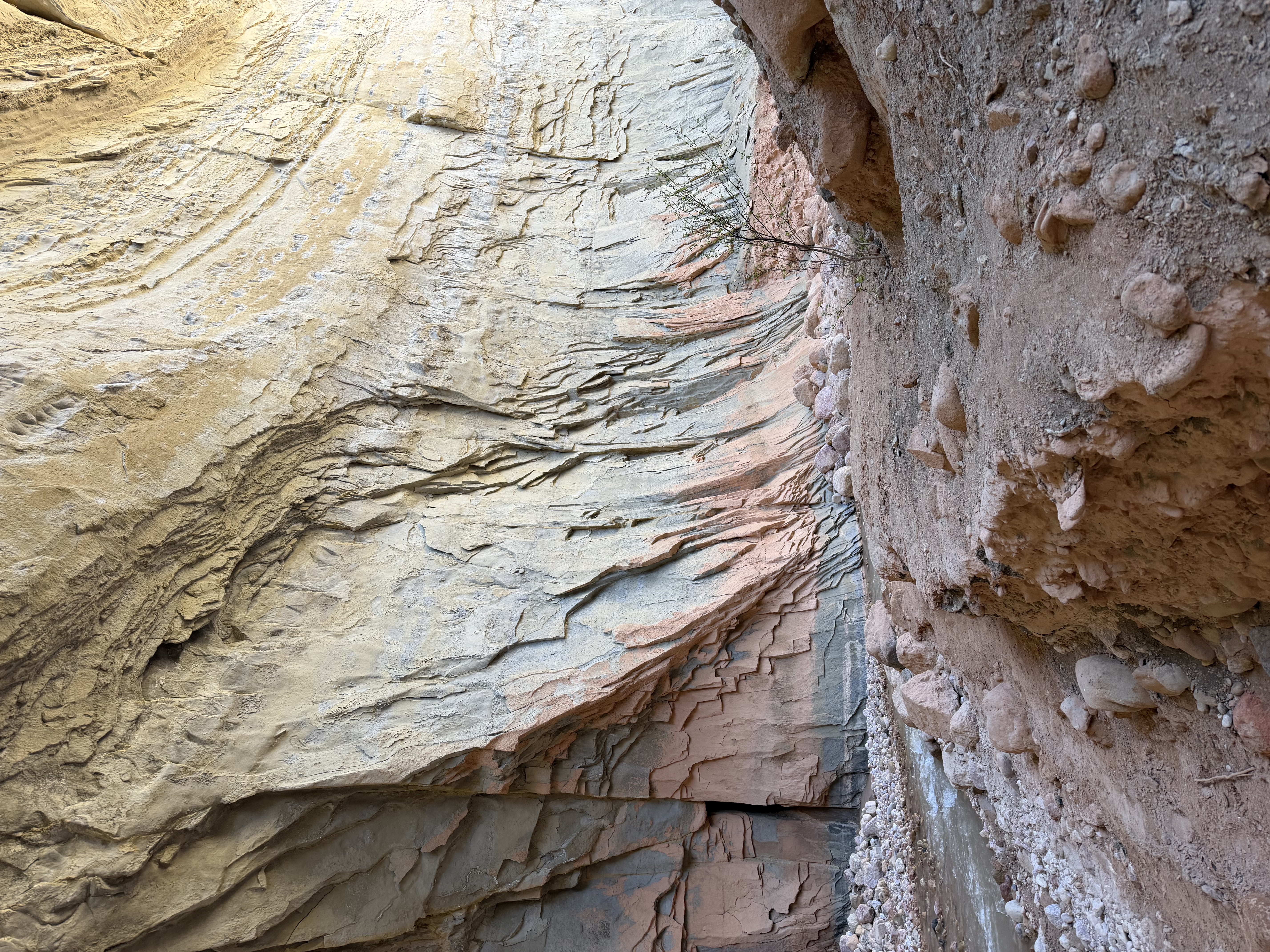 Scenic creek canyon along Highway 14 near Ashdown Gorge Trailhead in Southern Utah