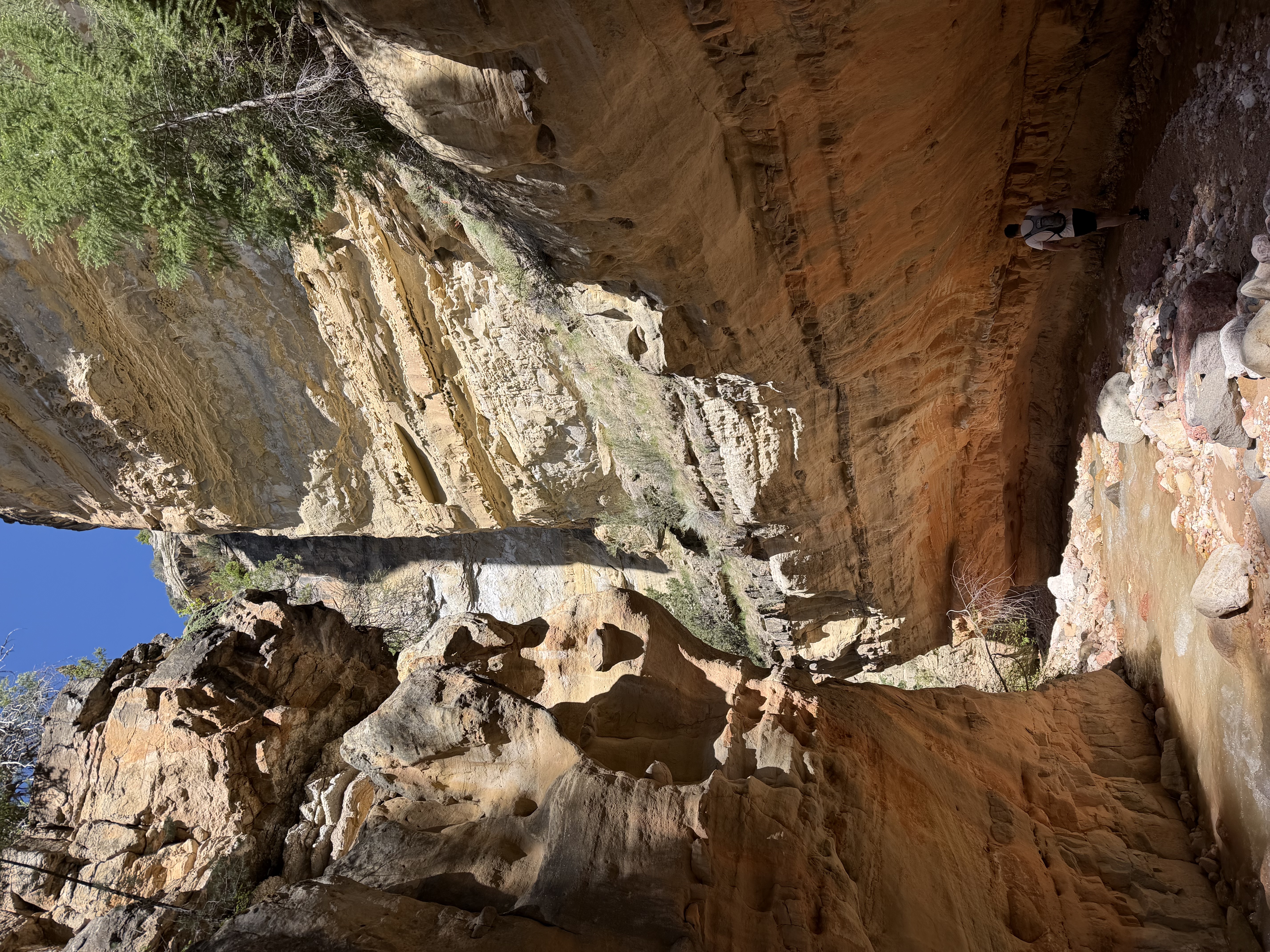 Coal Creek flowing through Cedar City canyon with cool creek walking and summer scenery in Southern Utah