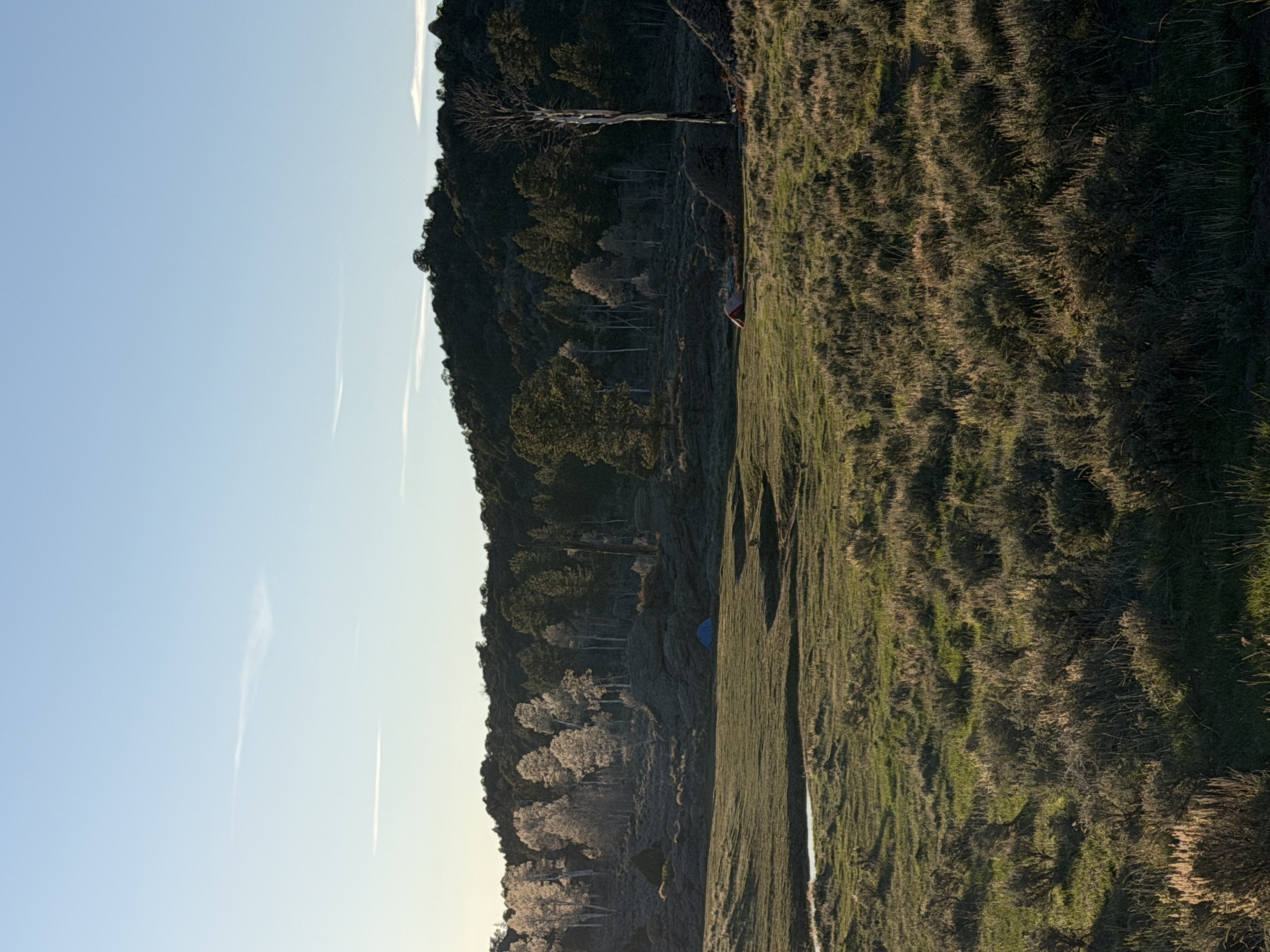 Backcountry campsite in a mountain meadow surrounded by aspens and pine trees in Southern Utah