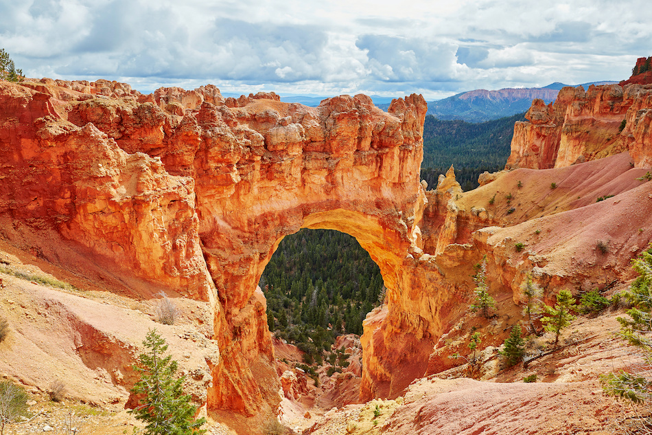 Discover the 3 Best Visitor Tours to Enjoy in Cedar City, UT header image.