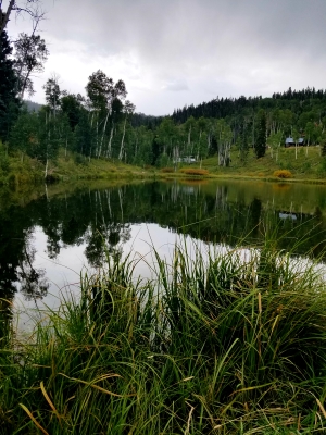 Fishing Fun at Kids Pond on Cedar Mountain header image.