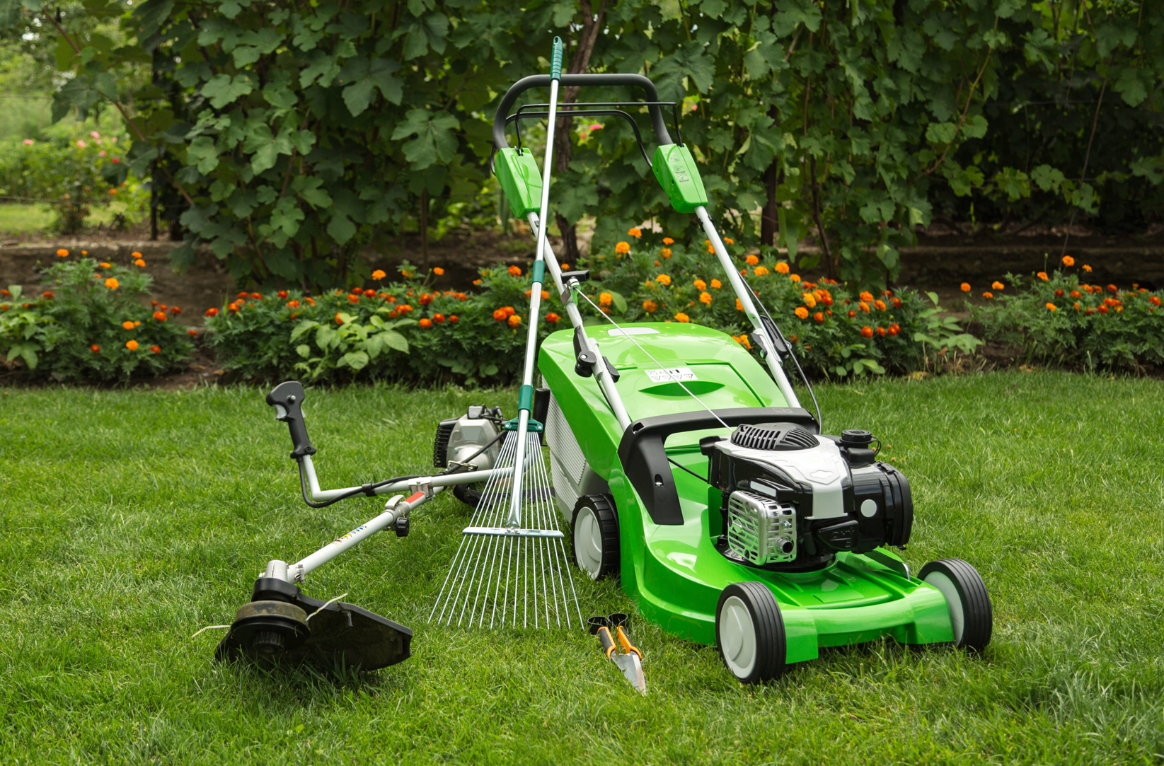 Tune Up Your Yard Tools