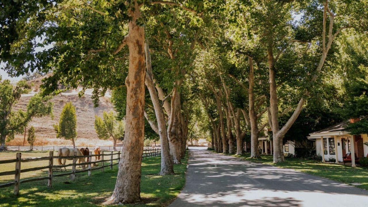 Join Our Raffle and Win a Trip to Alisal Ranch header image.