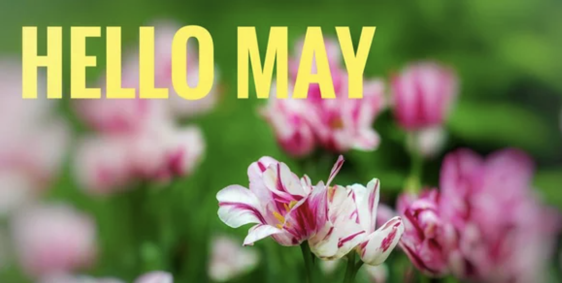 Don’t Miss These May Events 🌼 header image.