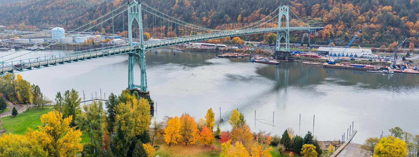 Navigating the New Real Estate Landscape: A Buyer's Guide header image.