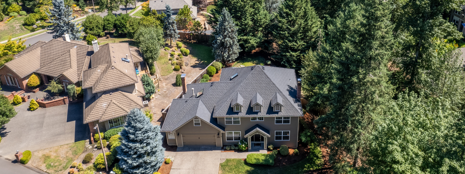 Catch a Drip Before It's a Downpour: Common Roof Leak Causes and How to Spot Them header image.