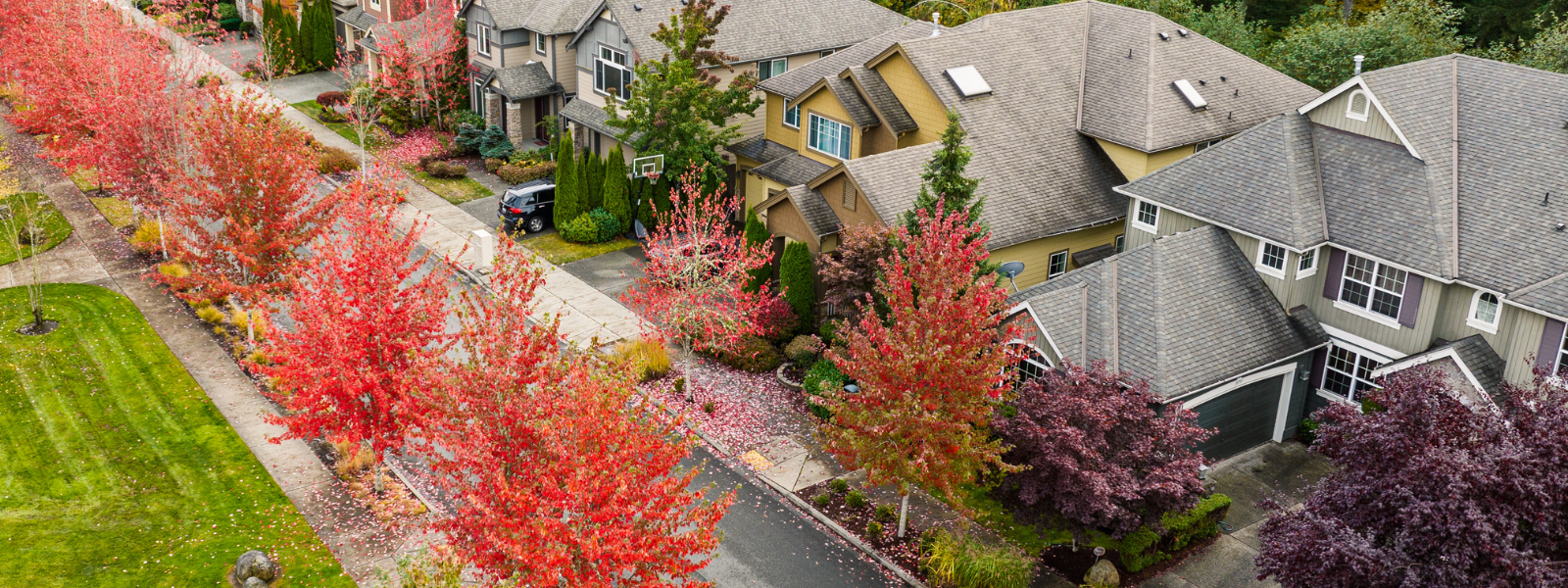 Autumn Arrives: 7 Tips to Prep Your Home and Yard for the Season header image.