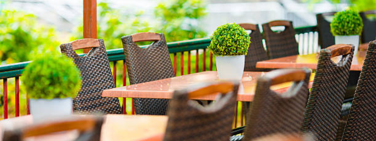 August - Fresh Air Feasting: Exploring the Best Outdoor Patios in Portland header image.