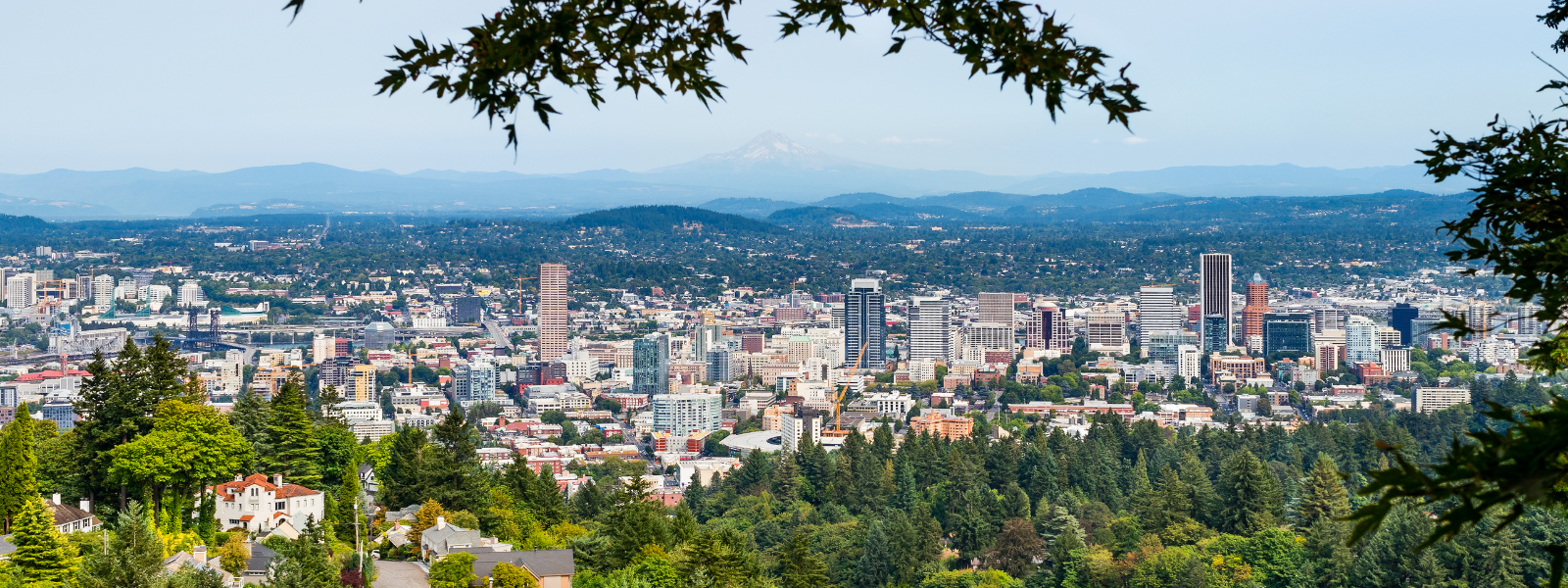 Your 2026 Guide to the Portland Real Estate Market header image.