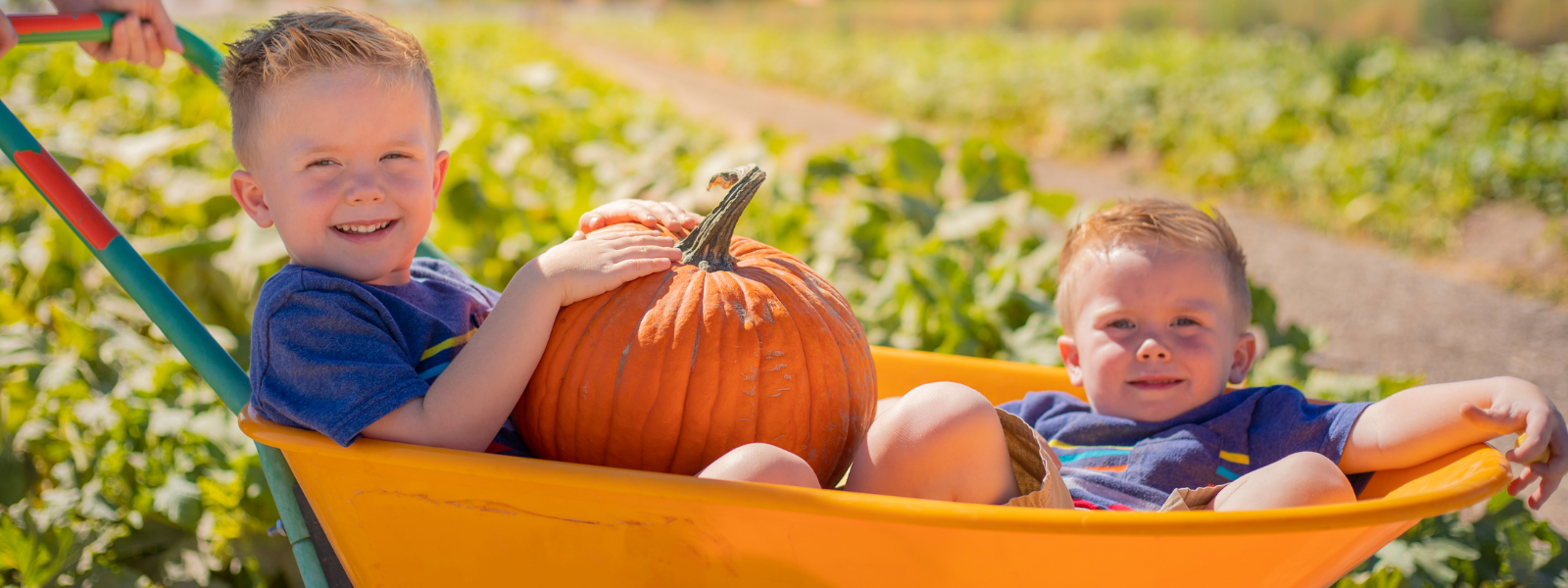 October - Halloween Season: Where To Find The Best Patches Around Portland header image.