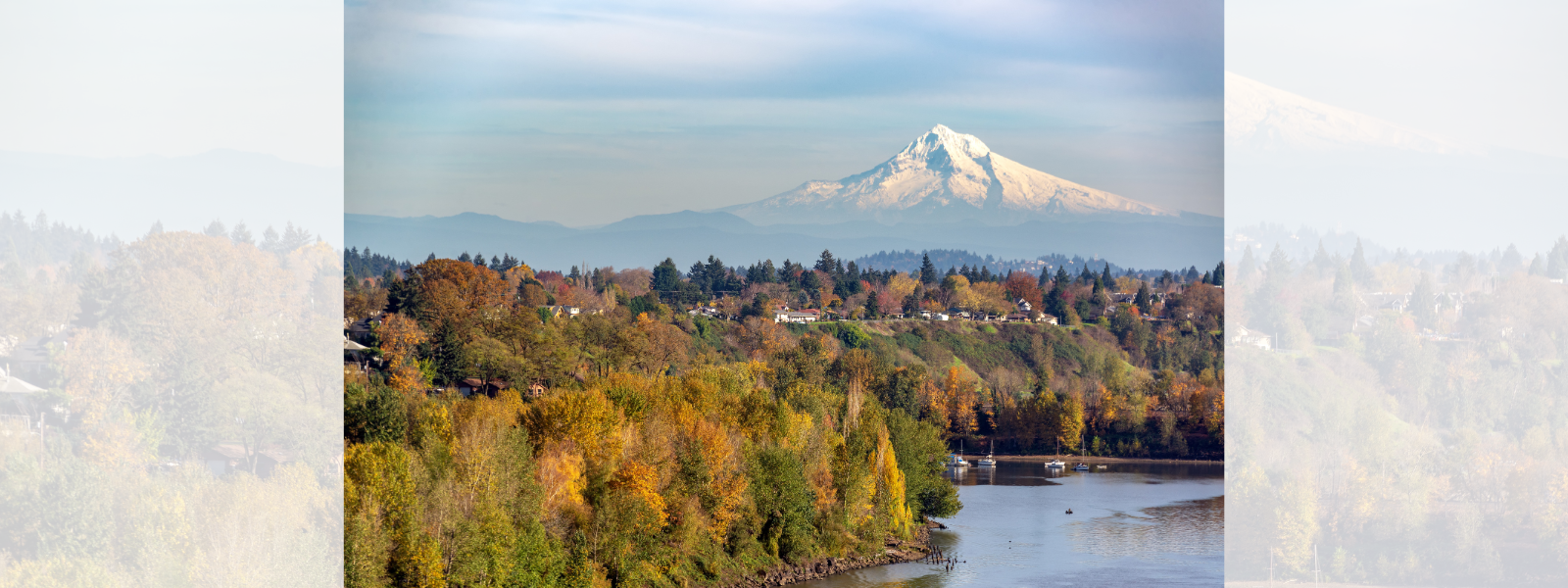 Is Fall the Season for Selling? Let's Find Out! header image.