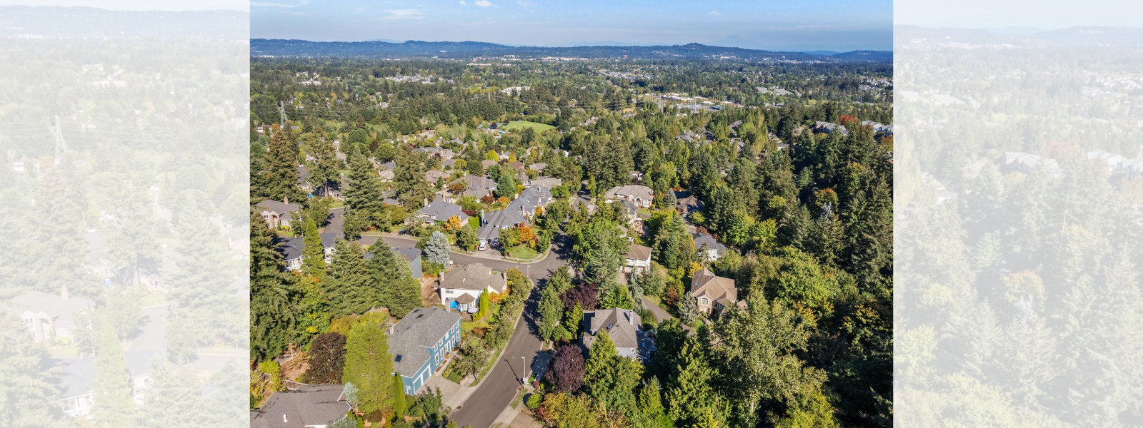 Navigating the New Commission Landscape: A Seller's Guide header image.