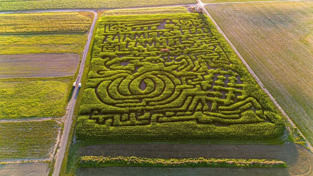 Lose Yourself in These 7 Portland-Area Corn Mazes header image.
