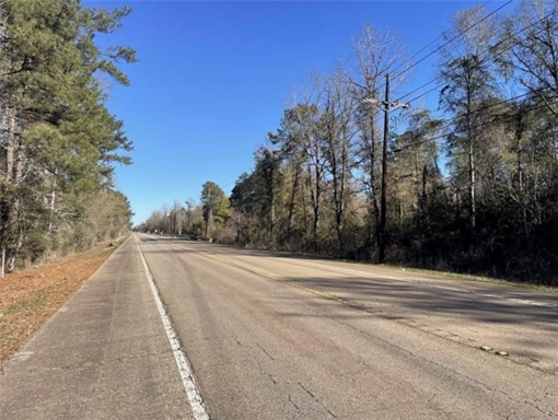Land for Sale in Hwy 51, LA