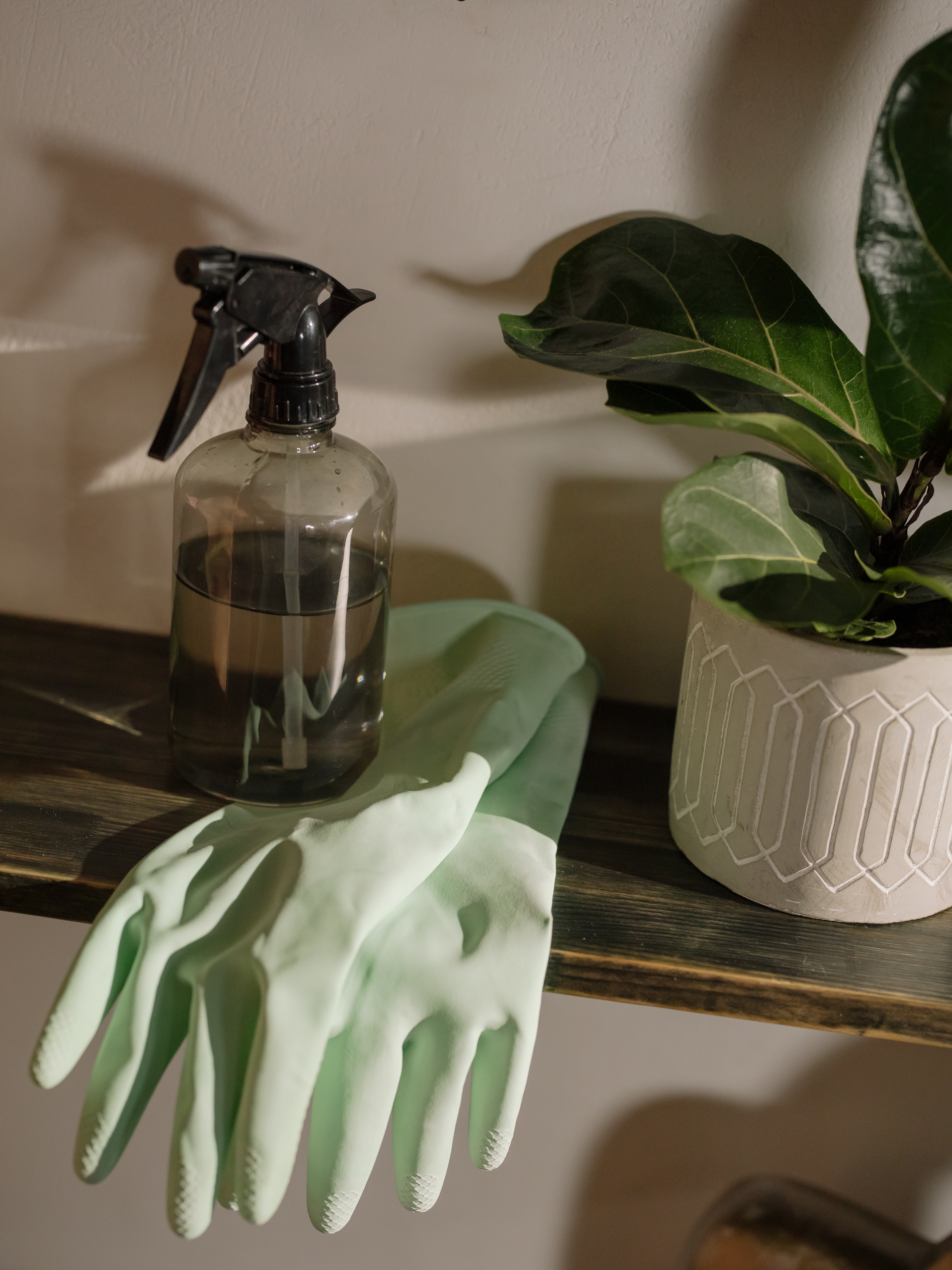 Clean Your Home in 5 Minutes header image.