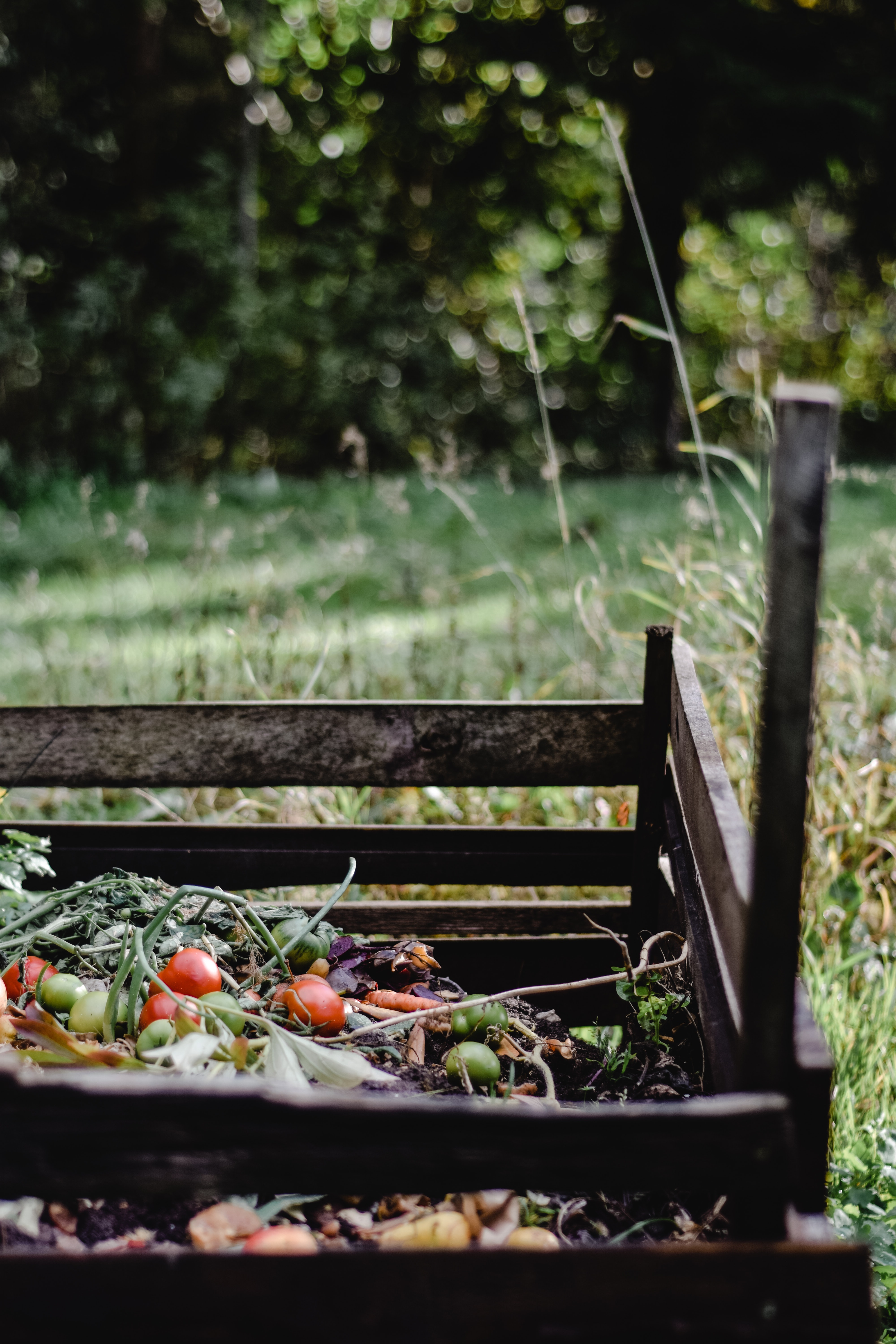 Compost: Your Key to a Dream Garden header image.