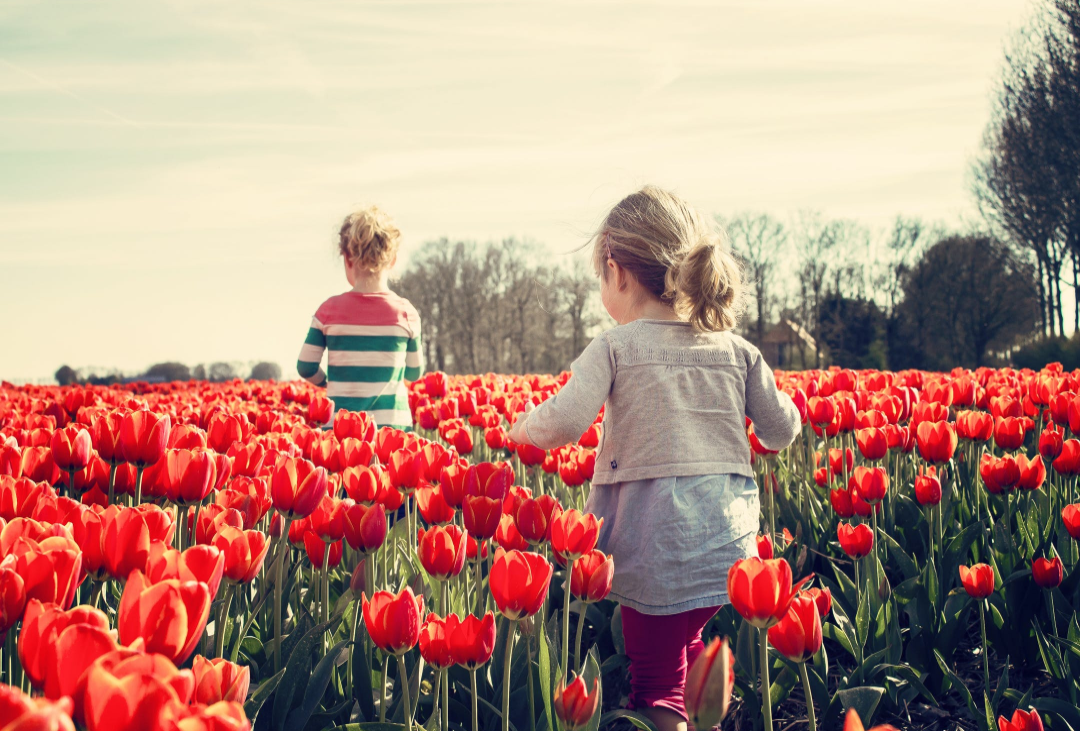 Get Your Home Ready For Spring Selling Season header image.