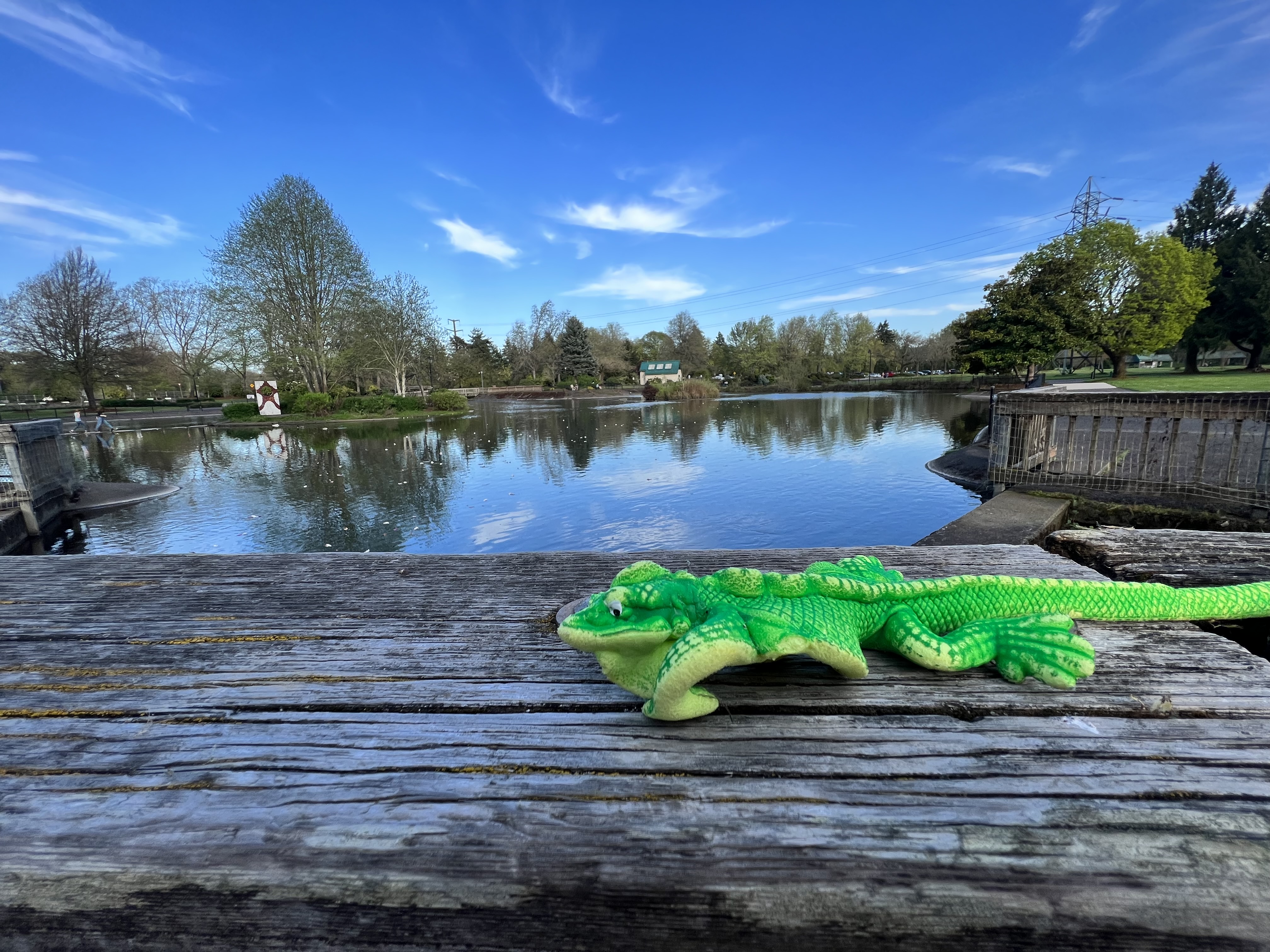 Alton Baker Pond
