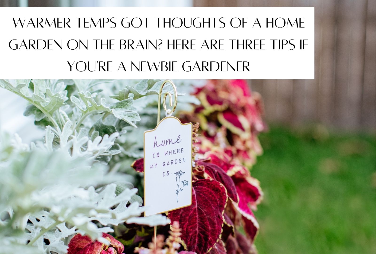 Want to Start A Garden This Spring? header image.