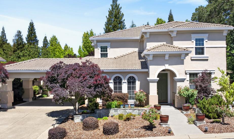 Rooted in Roseville header image.