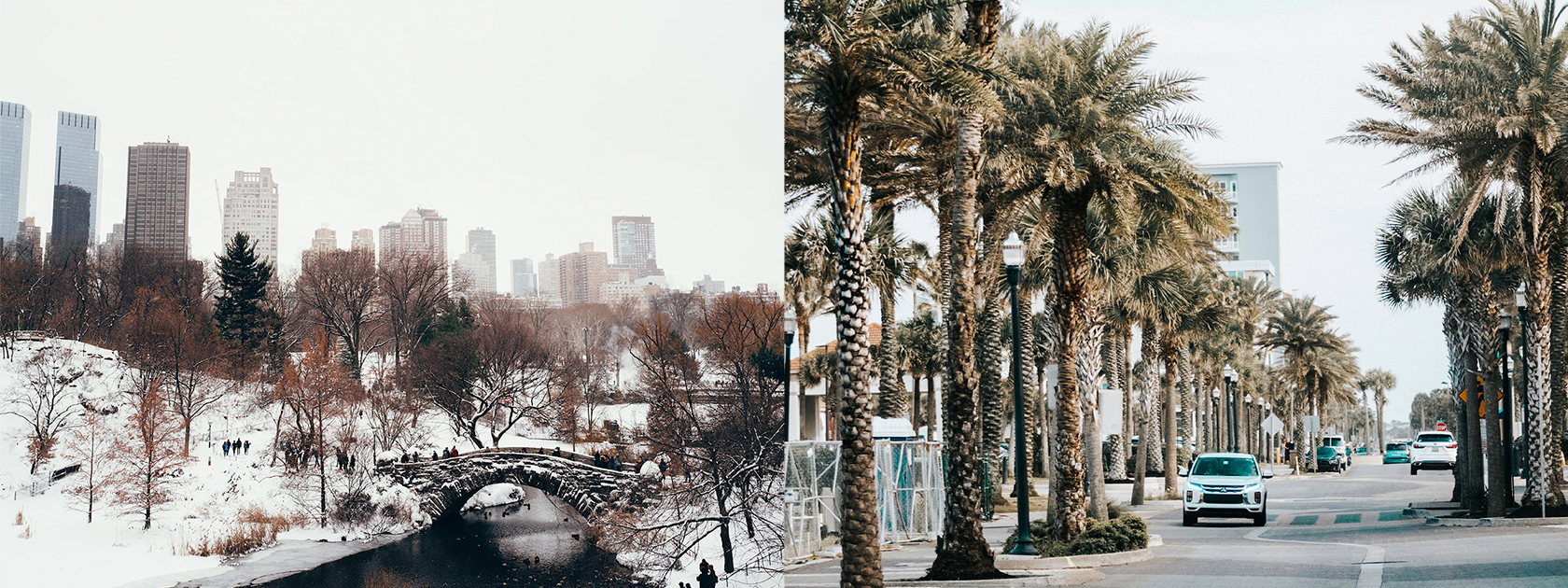 Moving from New York to Florida: What You Need to Know header image.