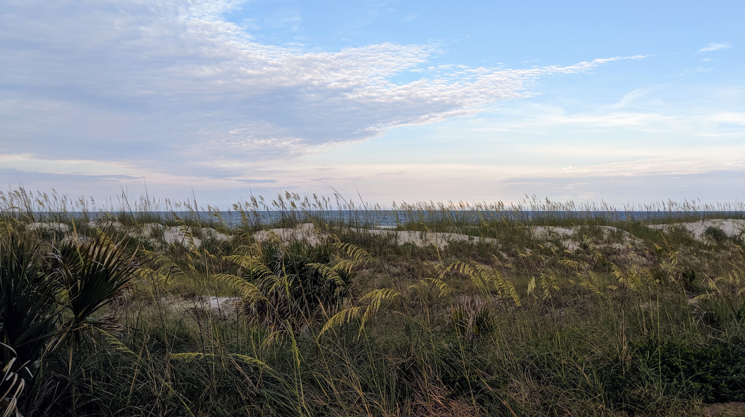 10 Things to Do in Jacksonville Beach header image.